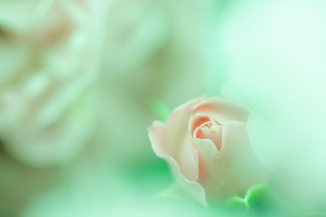 インスタ映えする日常を撮ろう!簡単に撮れるゆるふわ写真の作り方
