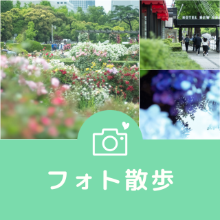 フォト散歩花彩めぐり〜横浜で秋バラを撮ろう！（2022.10.20）